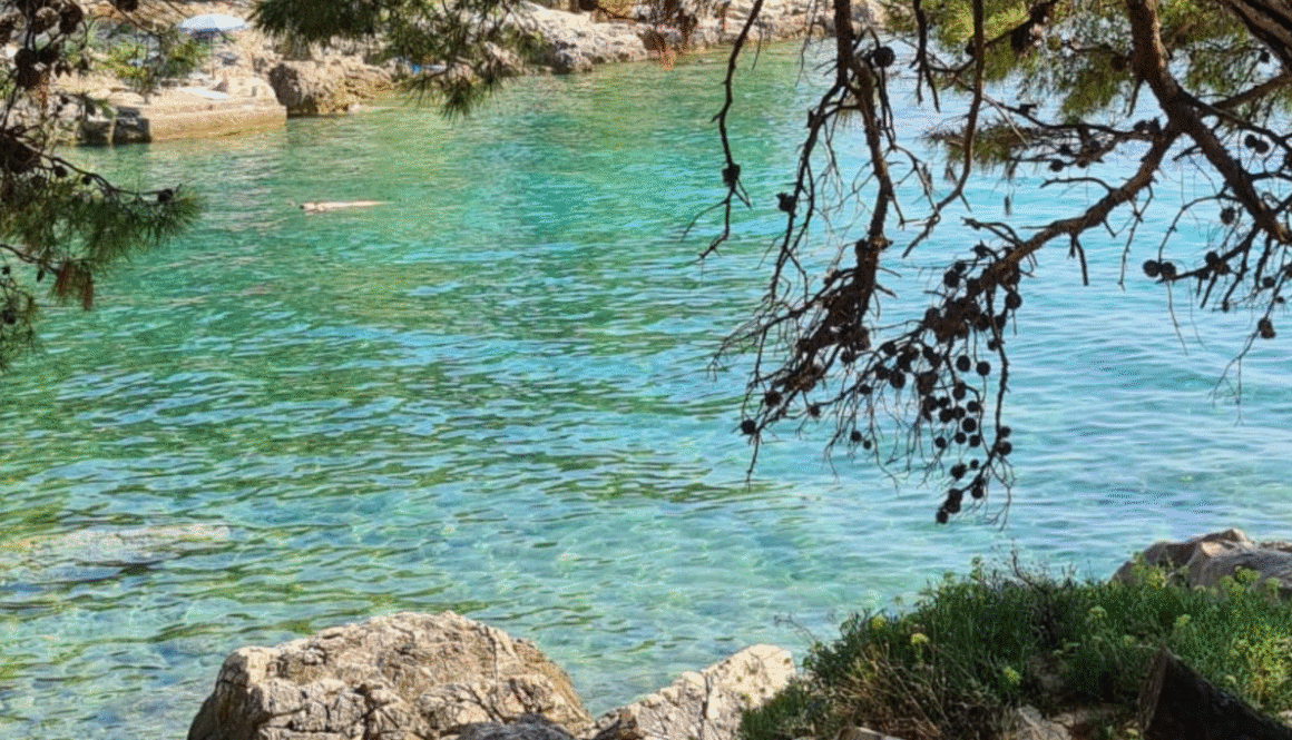 reif für die insel2