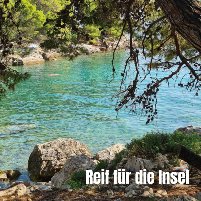 reif für die insel2