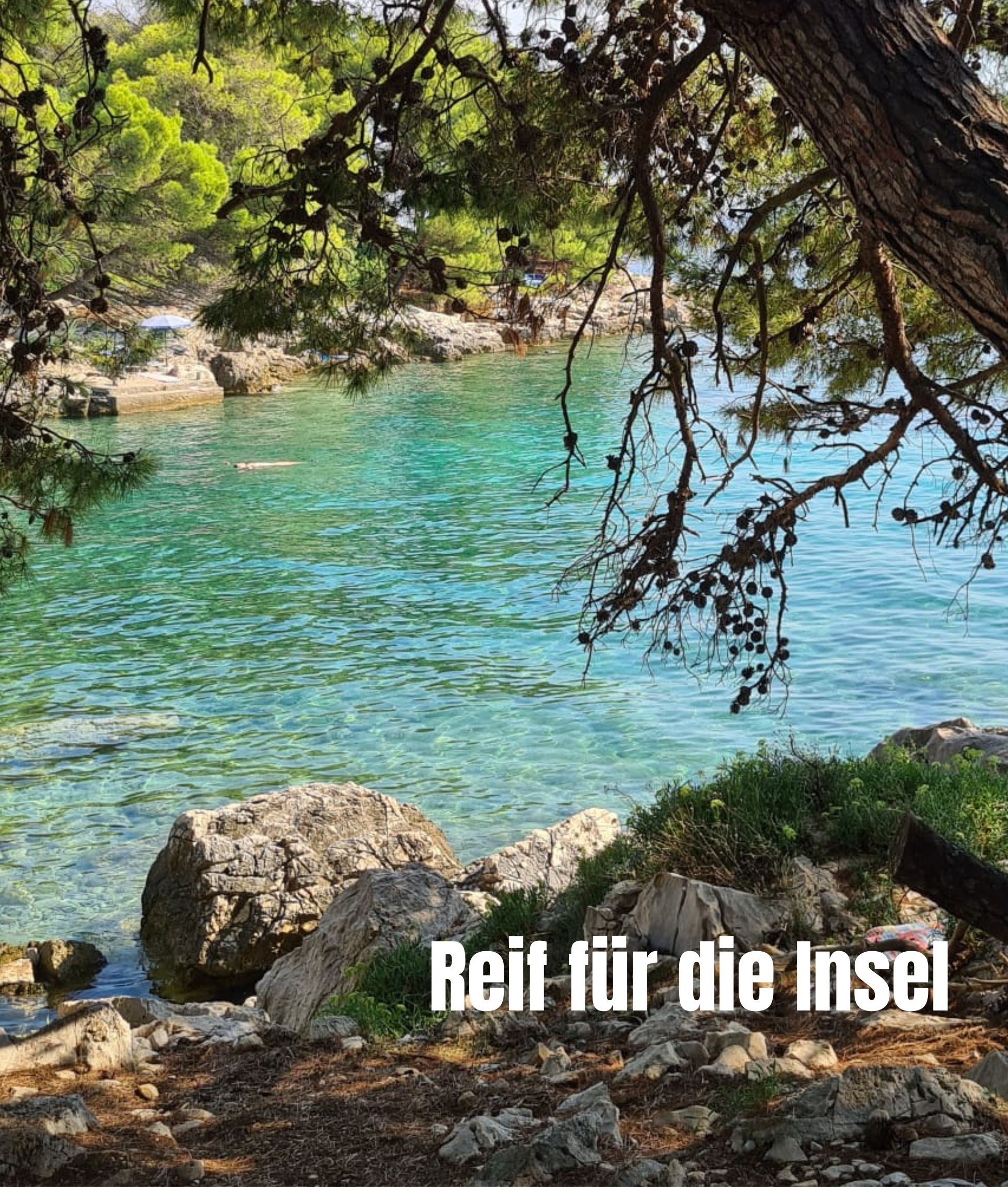 reif für die insel2