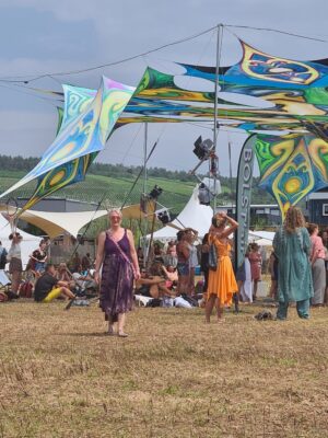 2024 5ElementsFestival Mood 2024 5ElementsFestival Mood